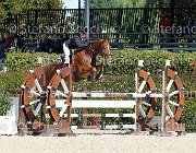 Testi Carry me on GioCav2013 S6 7374 : Campionati Italiani Giovani Cavalli, Carry me on, Cattolica, Testi Martina, ph Stefano Secchi ©